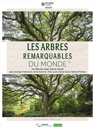 LES ARBRES REMARQUABLES DU MONDE