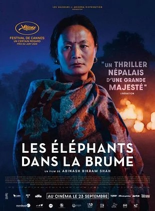 LES ÉLEPHANTS DANS LA BRUME